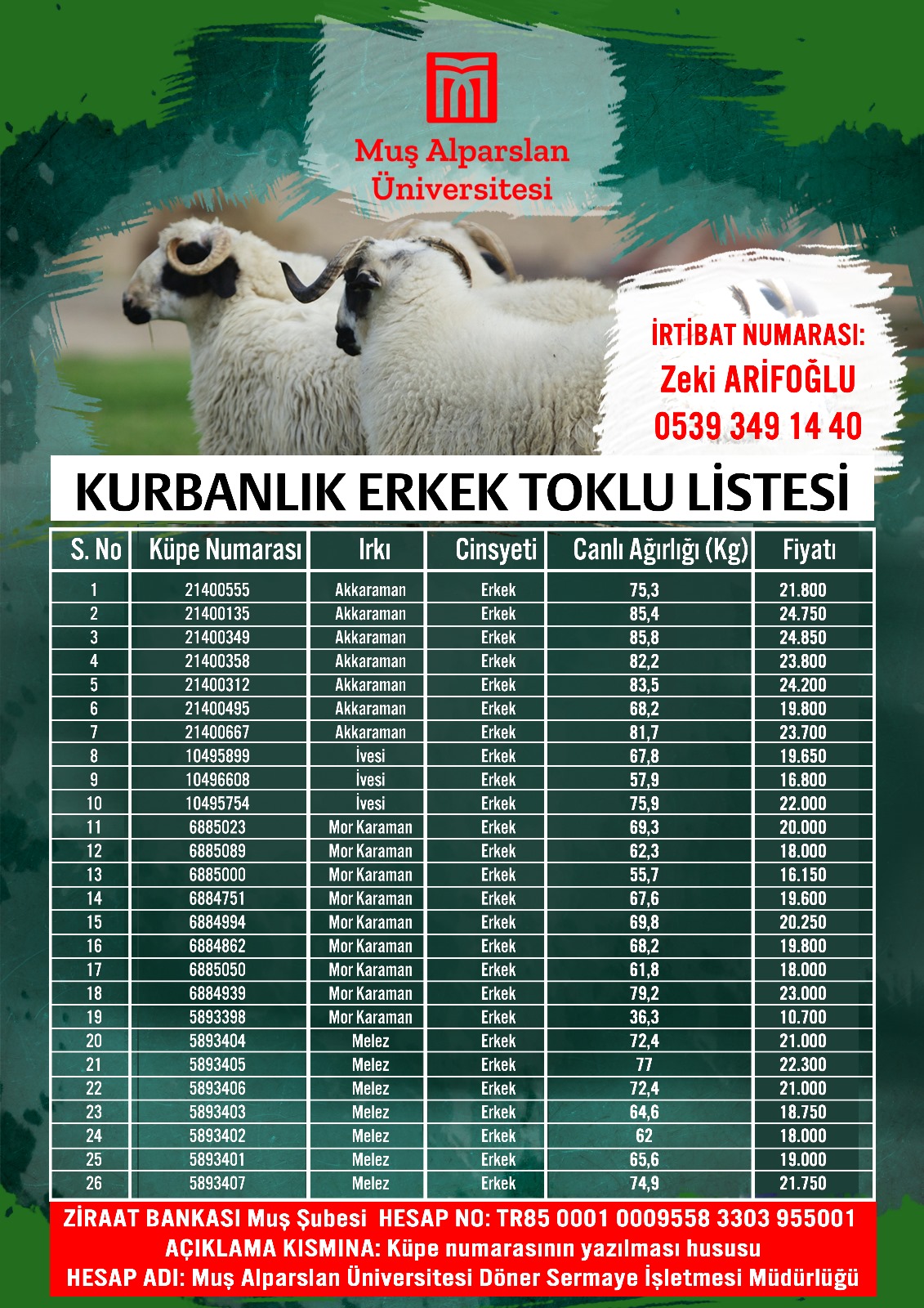 kurbanlik-erkek-toklu-listesi-7642