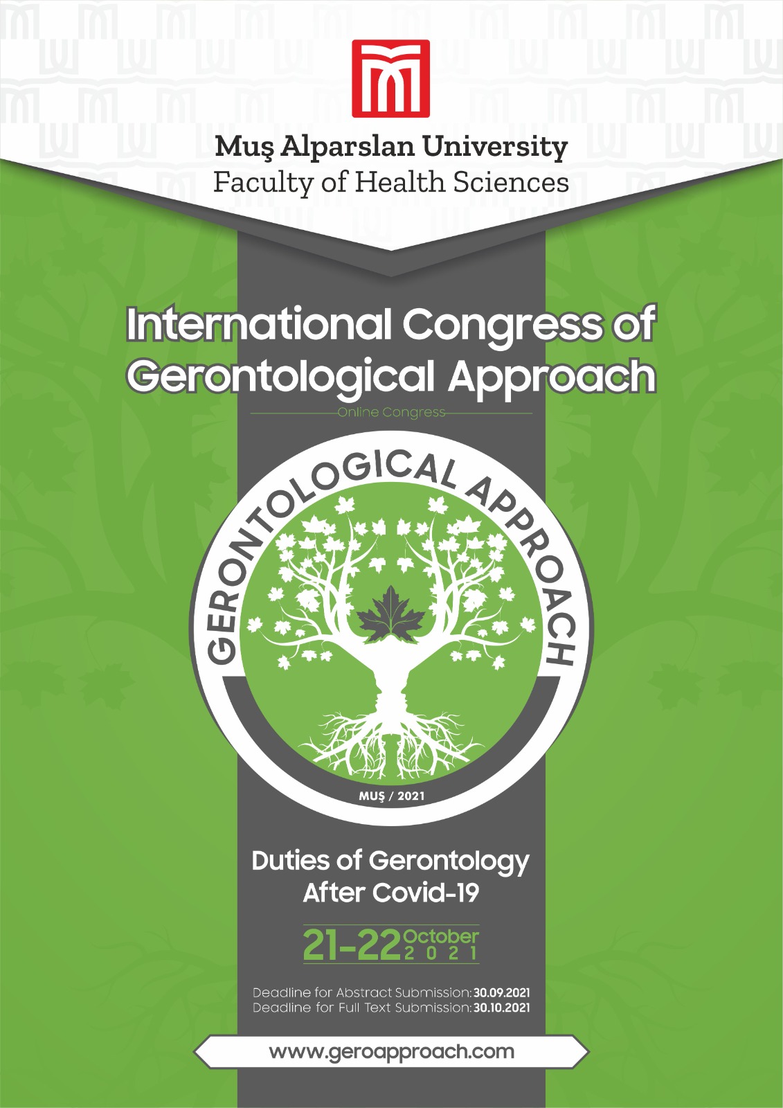 international-congress-of-gerontological-approach-160