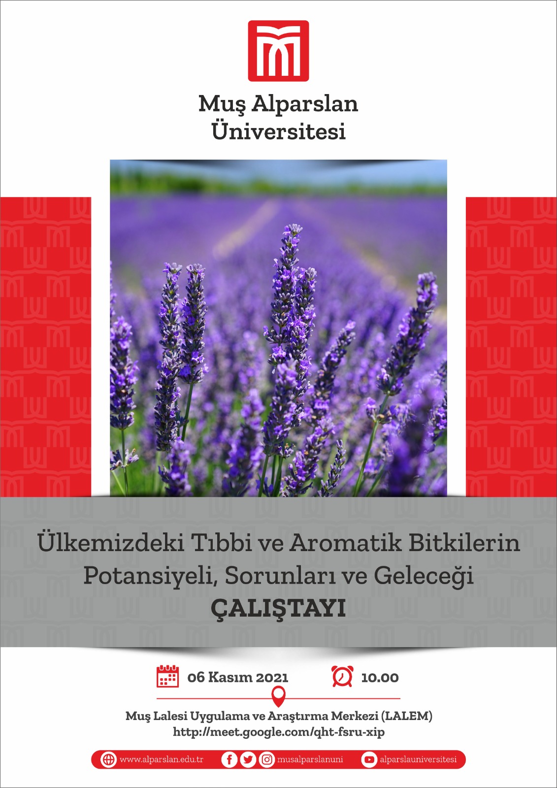 ulkemizde-tibbi-ve-aromatik-bitkilerin-potansiyeli-sorunlari-ve-gelecegi-157