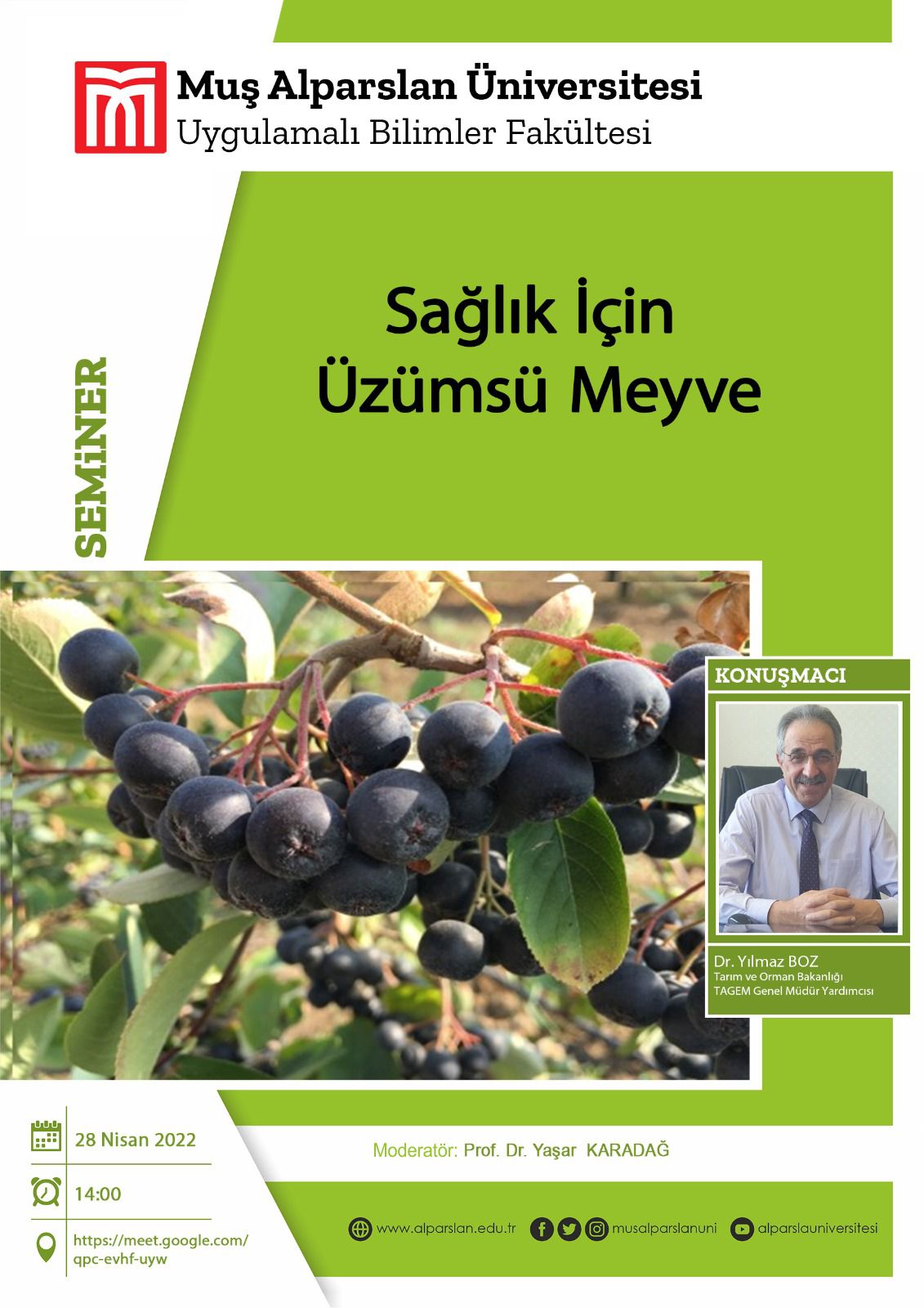 berry-fruit-for-health-1518