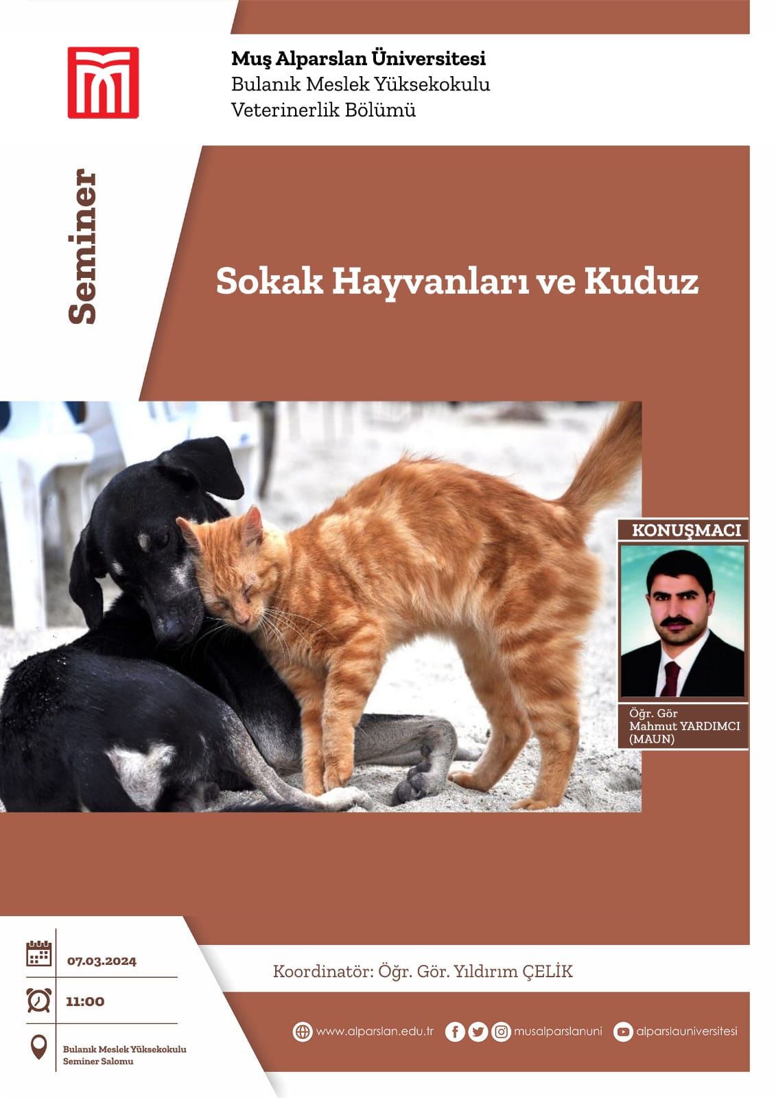 sokak-hayvanlari-ve-kuduz-4450