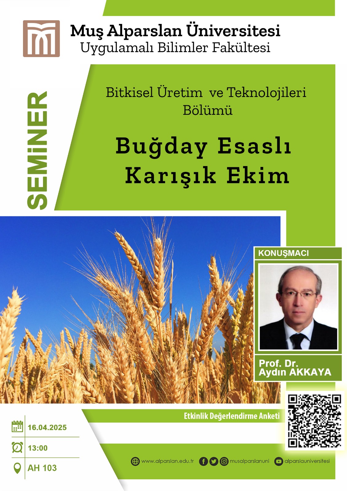 bugday-esasli-karisik-ekim-7029