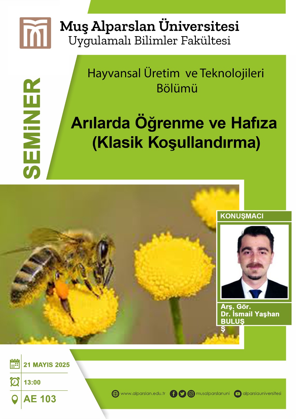 arilarda-ogrenme-ve-hafiza-7469