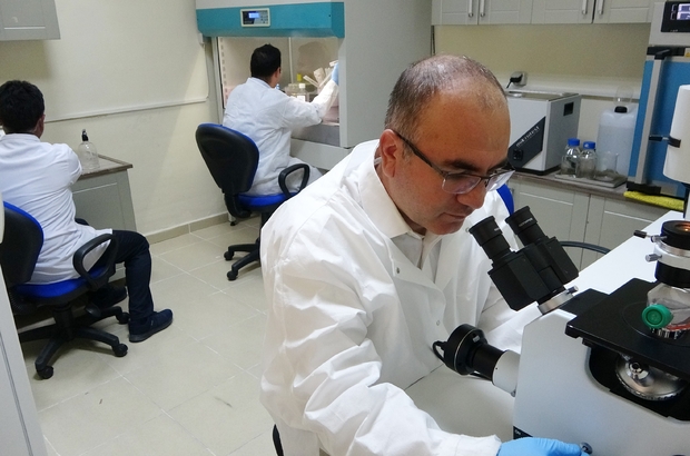 ogretim-uyelerimizden-kanser-tedavisine-elektrokemoterapi-katkisi-844