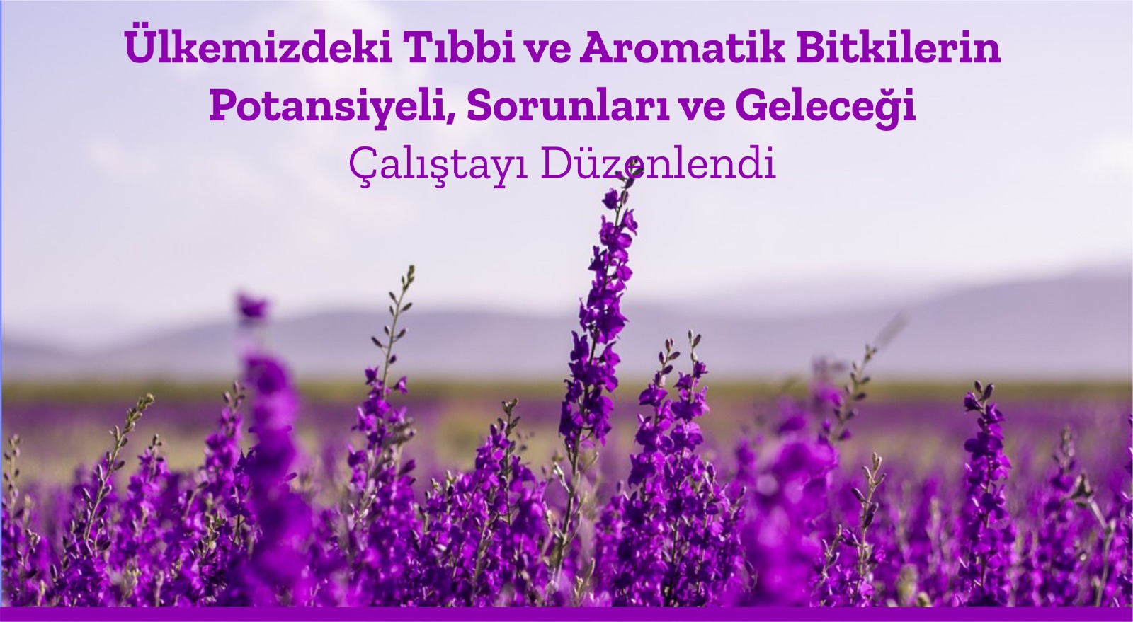ulkemizdeki-tibbi-ve-aromatik-bitkilerin-potansiyeli-sorunlari-ve-gelecegi-calistayi-duzenlendi-983
