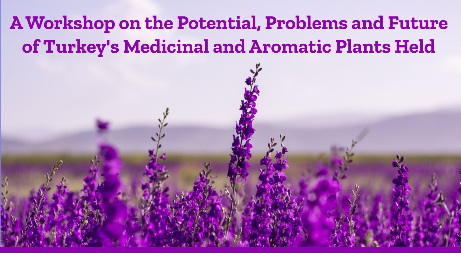 a-workshop-on-the-potential-problems-and-future-of-turkeys-medicinal-and-aromatic-plants-held-989