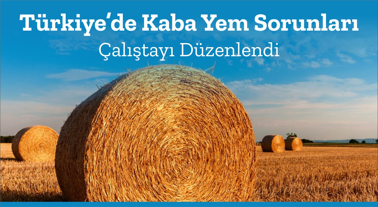 1-turkiyede-kaba-yem-sorunlari-calistayi-duzenlendi-1027