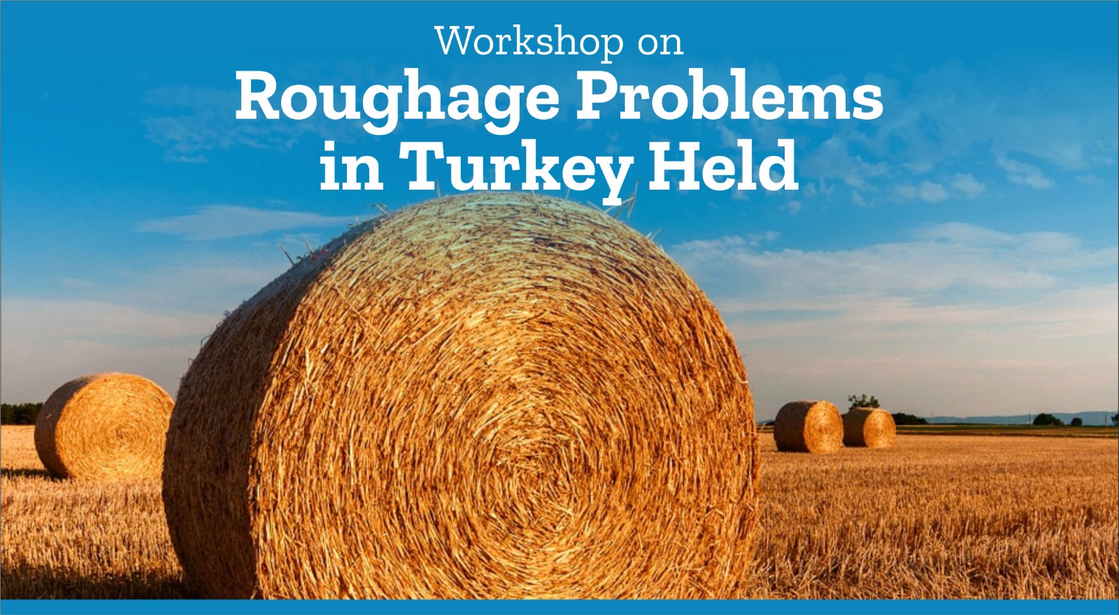 workshop-on-roughage-problems-in-turkey-held-1028
