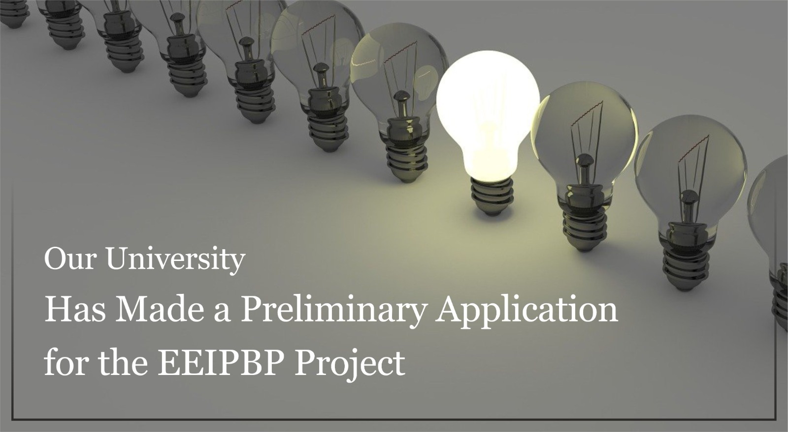 our-university-has-made-a-preliminary-application-for-the-eeipbp-project-1263