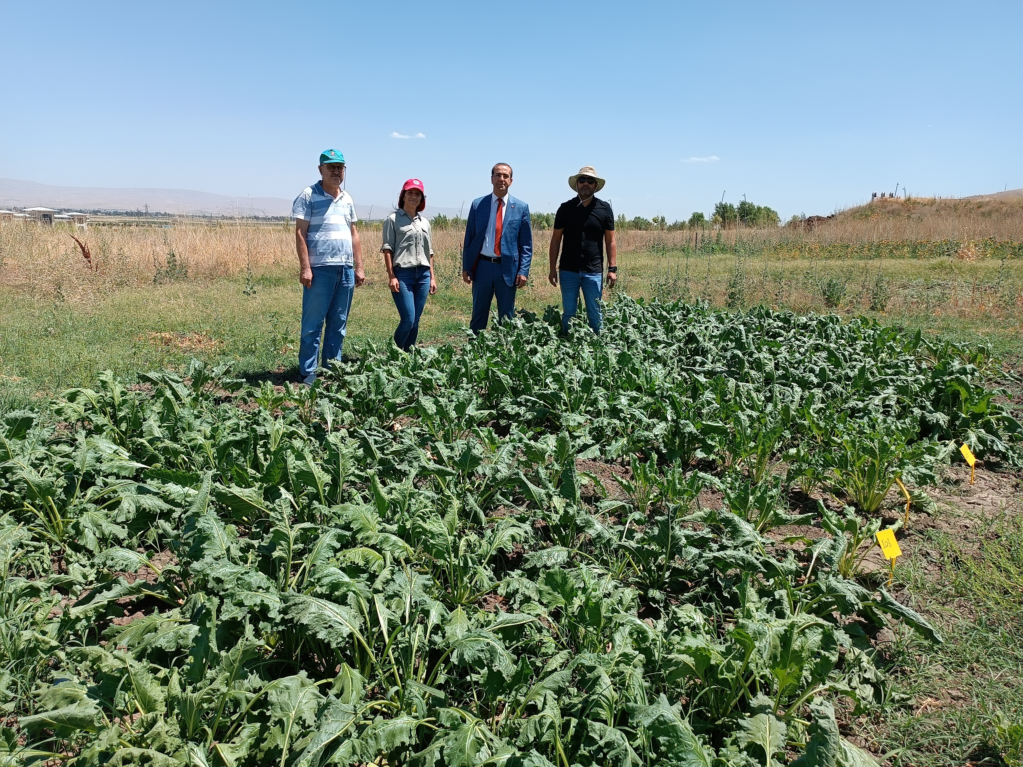 for-the-first-time-scientific-trials-for-sunflower-sugar-beet-and-second-crop-sesame-were-conducted-in-mauns-research-and-experimental-fields-2916