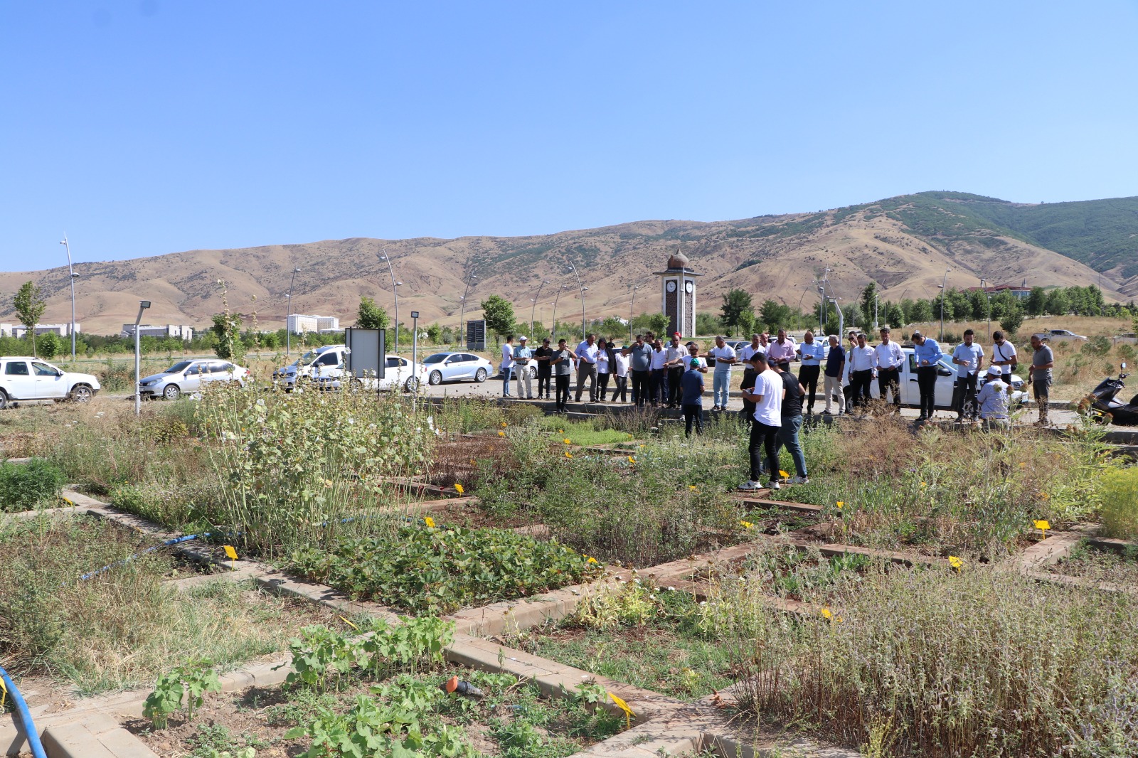 universitemiz-bunyesinde-tarla-gunu-etkinliklerinin-ikincisi-duzenlendi-2960