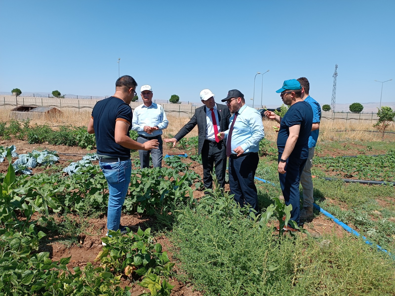 rektorumuz-bilimsel-deneme-ekim-alanlarini-inceledi-3018