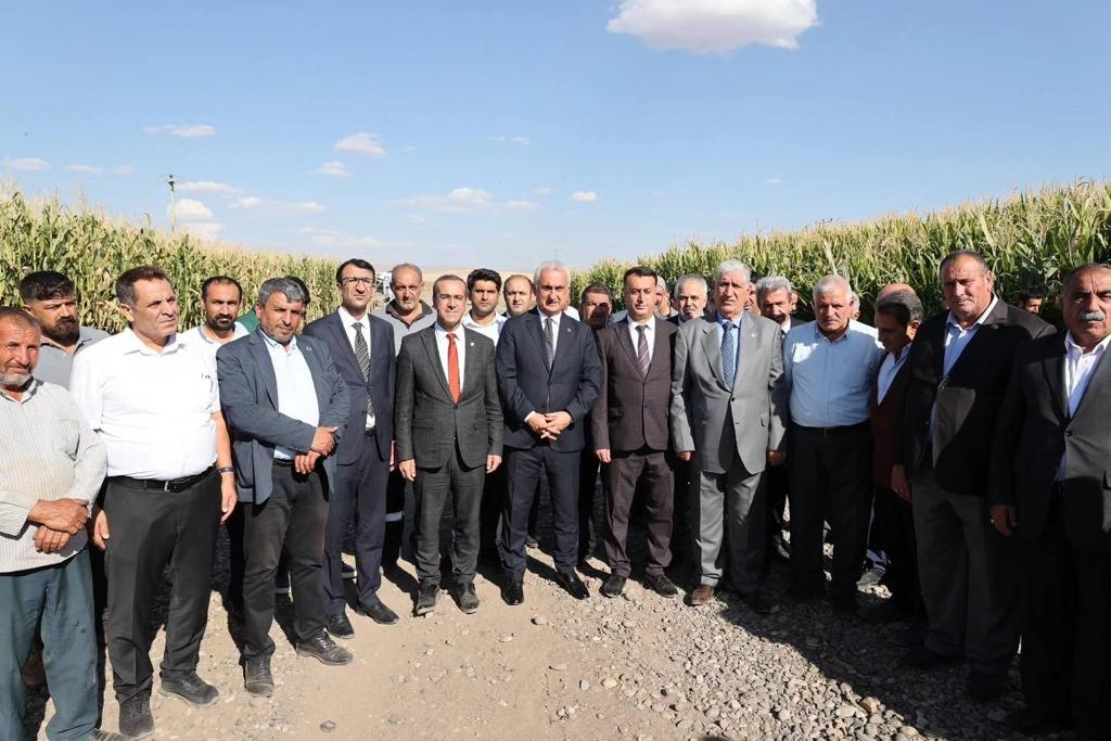 musta-silajlik-misir-hasadina-baslandi-3194