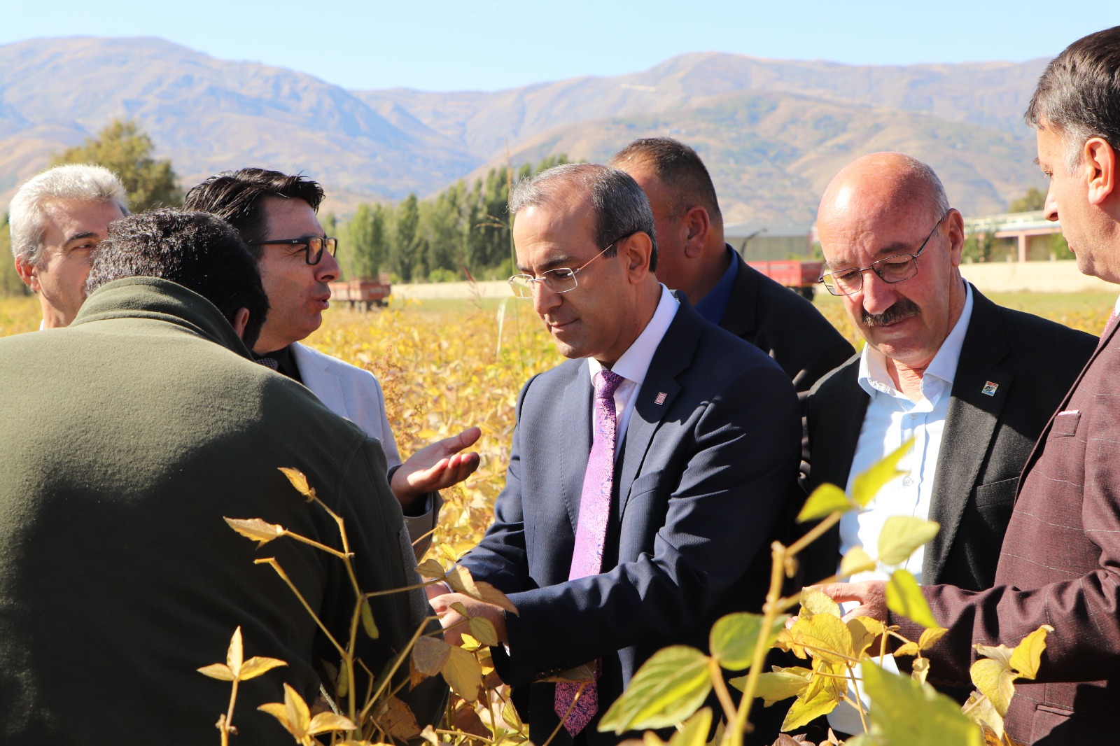 harvesting-within-the-scope-of-soybeans-for-silage-promise-hope-for-the-mus-plain-project-3458
