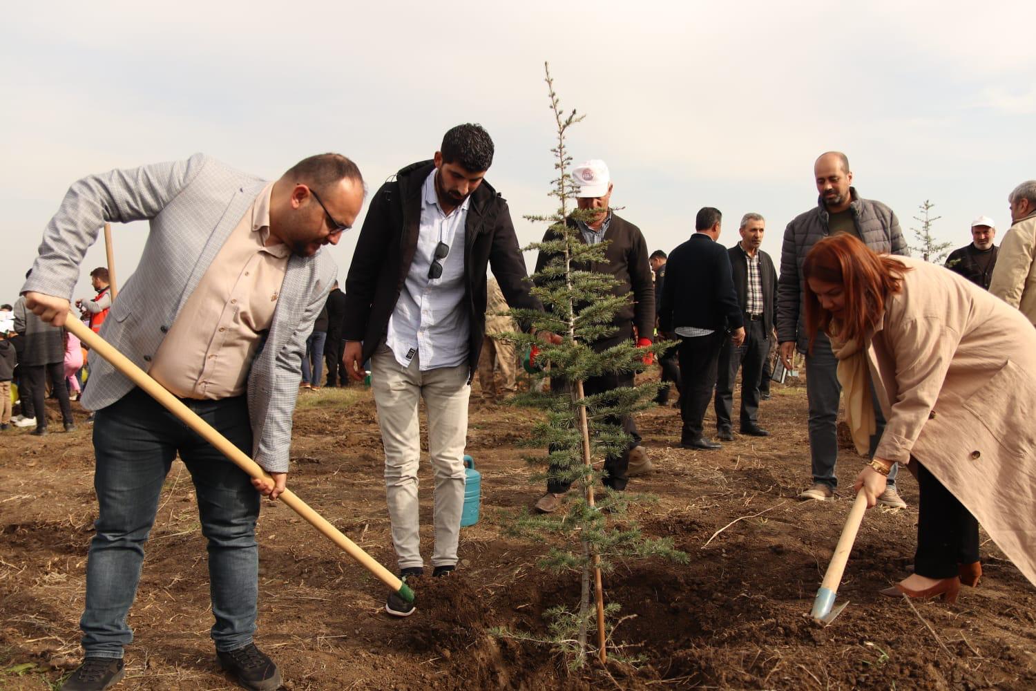 gelecege-nefes-dunyaya-nefes-11-kasim-milli-agaclandirma-gununde-fidanlarimizi-diktik-3645