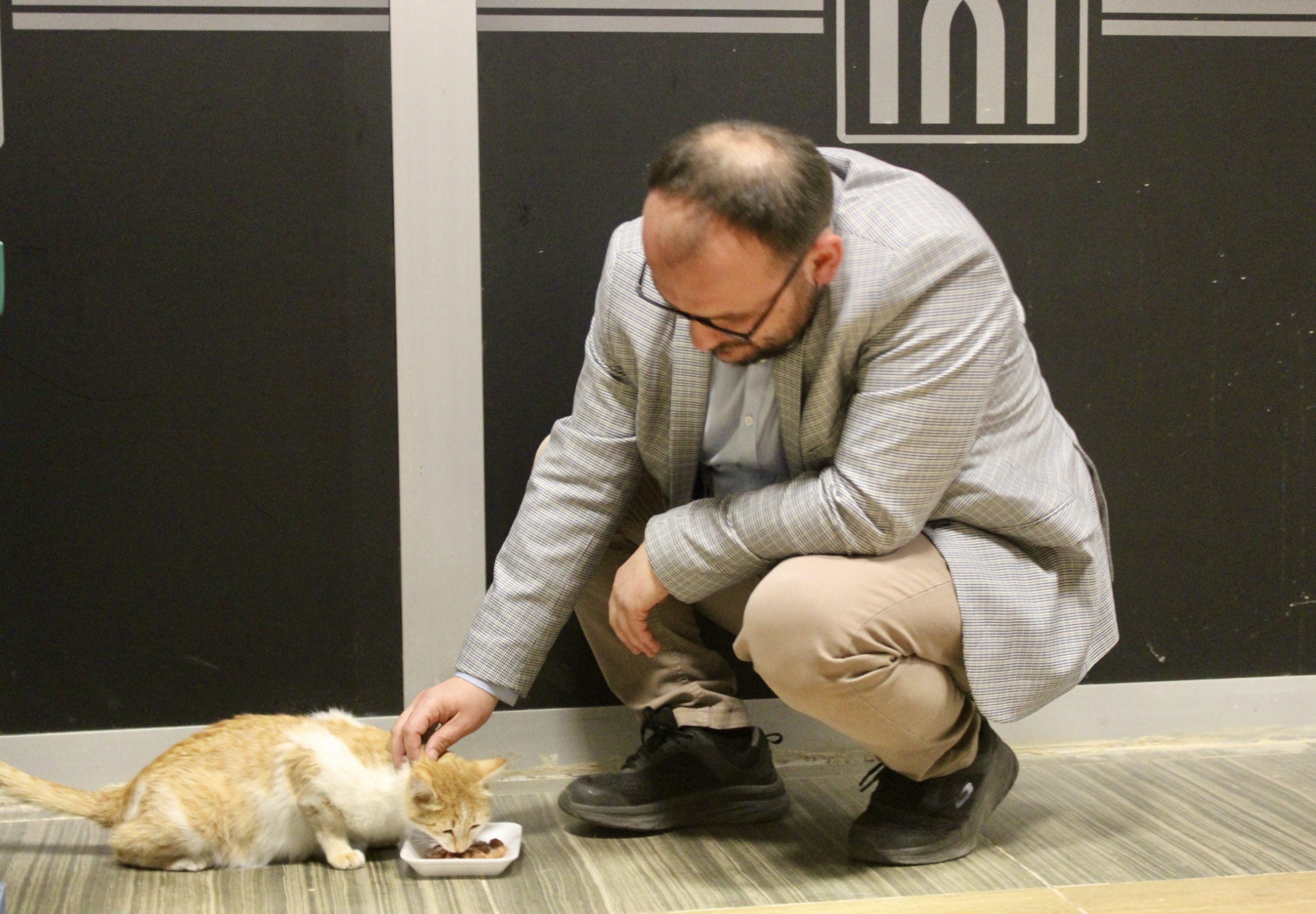 rektorumuz-kampusumuzun-kedileriyle-4830