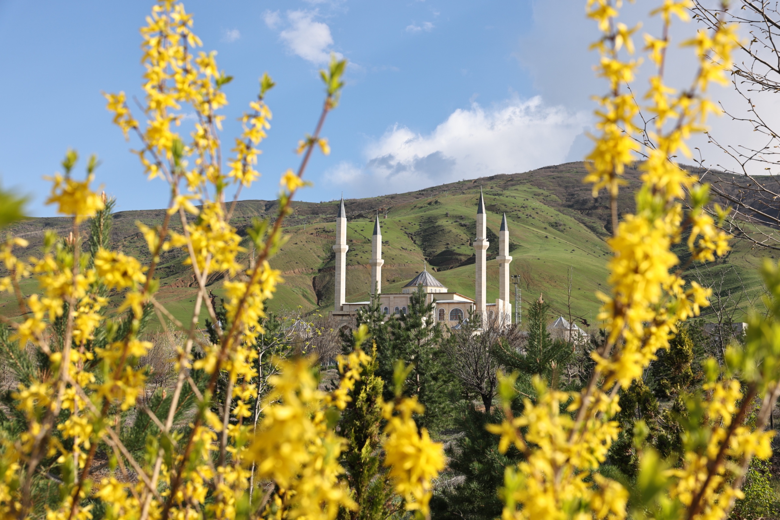 kampusumuz-cicek-acti-4848