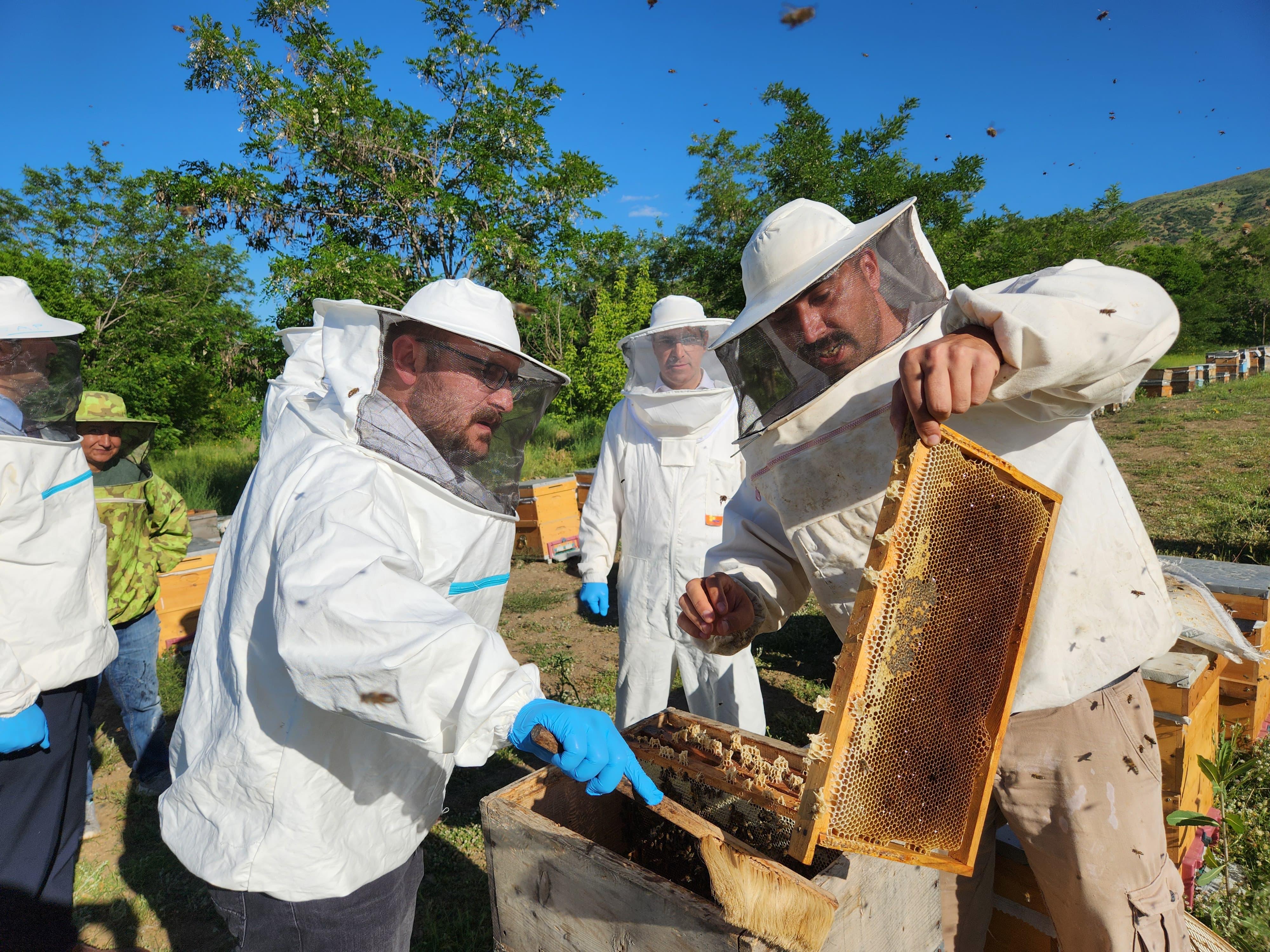 honey-harvest-was-organised-at-our-university-5262
