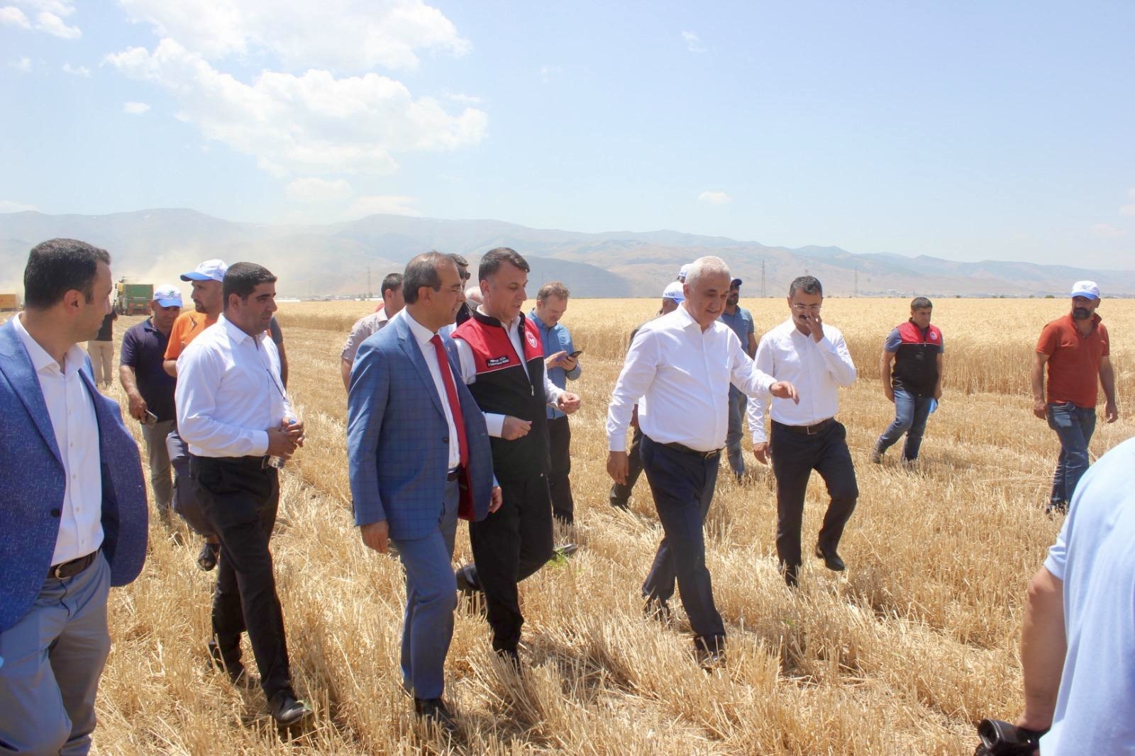 yildiz-alparslan-tarim-isletmesi-bugday-hasadina-katildik-5373