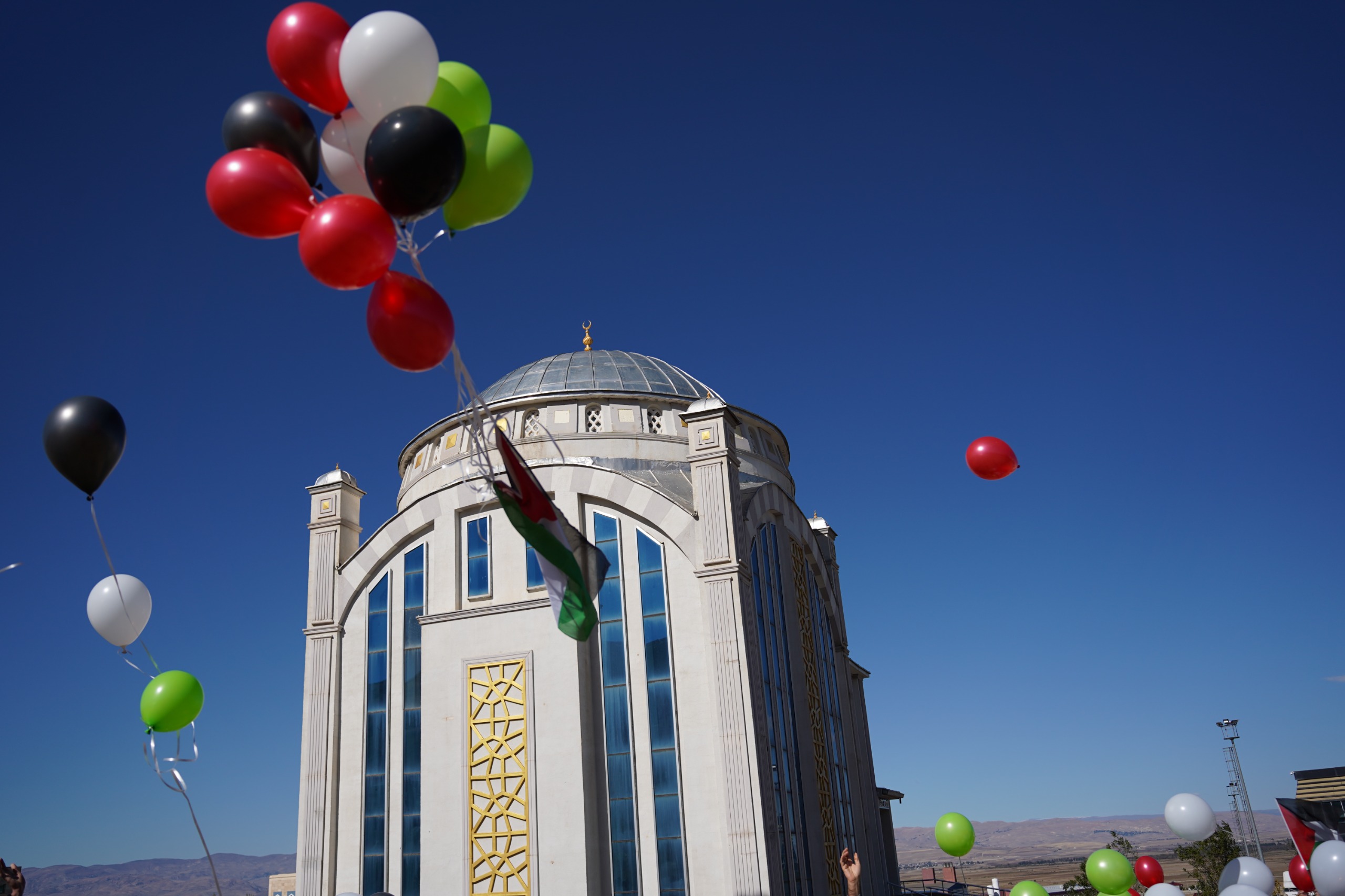 mus-alparslan-universitesi-dusunce-ve-etkilesim-toplulugundan-filistine-destek-balonlar-filistin-icin-ucuyor-etkinligi-5857