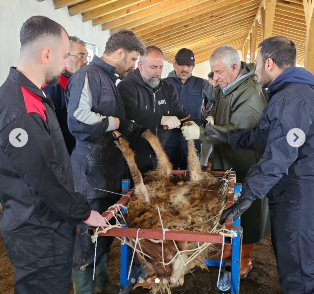 universitemizde-hayvancilik-alaninda-uygulamali-egitimler-gerceklestirilmeye-devam-ediyor-6898