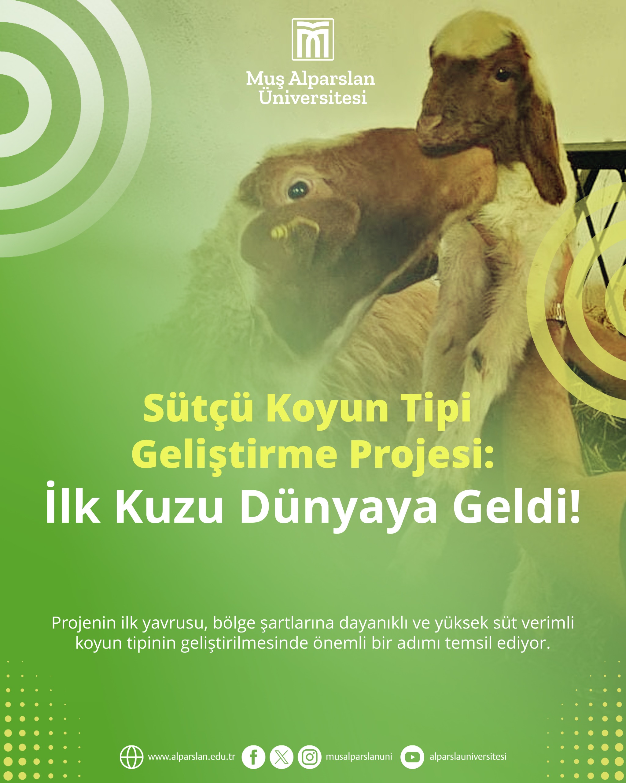 proje-kapsaminda-planli-kuzulamalar-basladi-8400