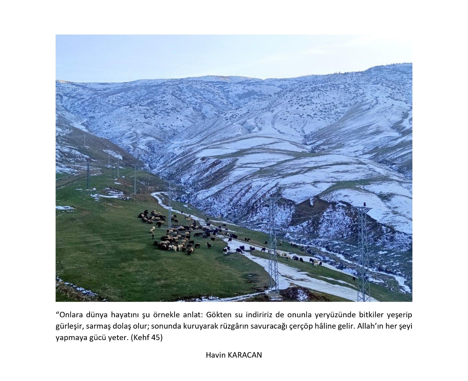 hbtnin-duzenledigi-bir-kare-bir-ayet-yarismasinin-sonuclari-aciklandi-8819